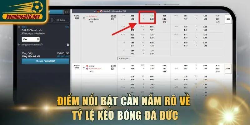 Điểm nổi bật cần nắm rõ về tỷ lệ kèo bóng đá Đức
